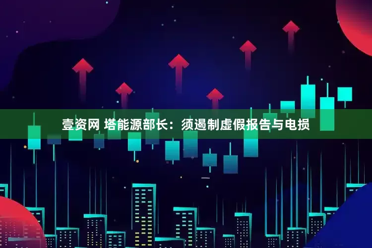 壹资网 塔能源部长：须遏制虚假报告与电损